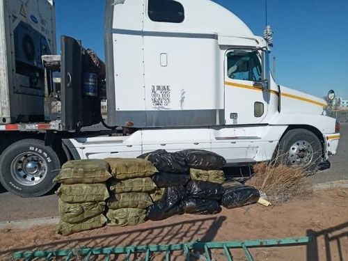 Адууны өлөн гэдэс хууль бусаар хилээр гаргах гэж байсныг илрүүлжээ